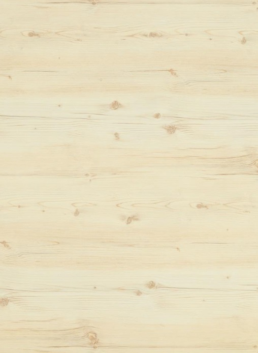 Столешница "ЕЛЬ АКРОНАА" Матовая (519М) 600-3050-38-1U на  вл/ст дсп