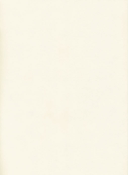 Столешница "БЕЛЫЙ" Матовая (10М) 800-3050-38-2U