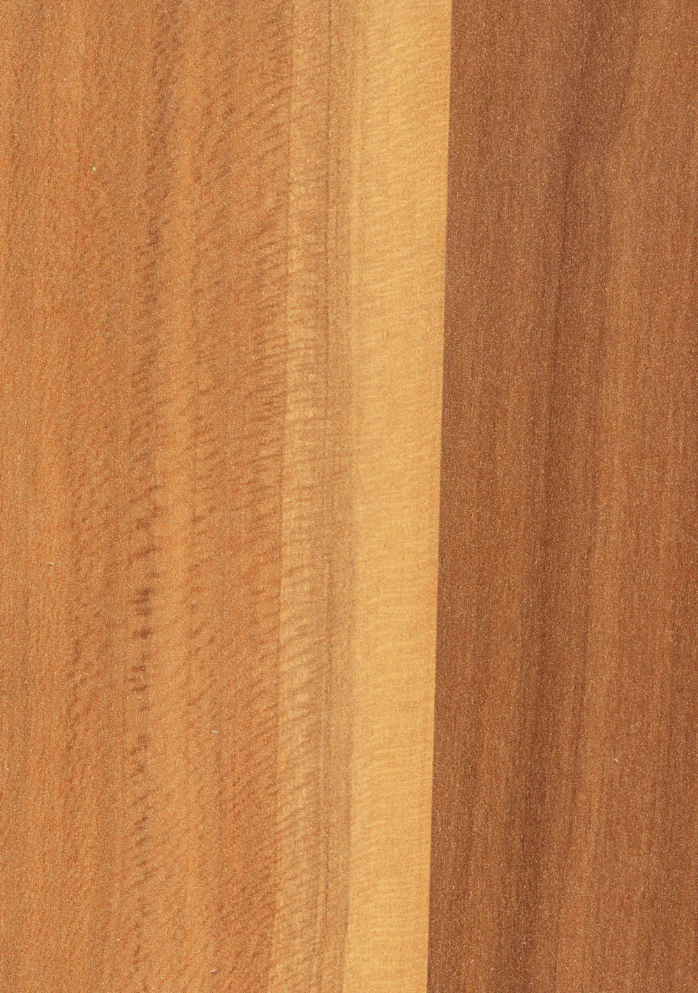 Слива Валлис 1622037003 РУ 85/8 2,76