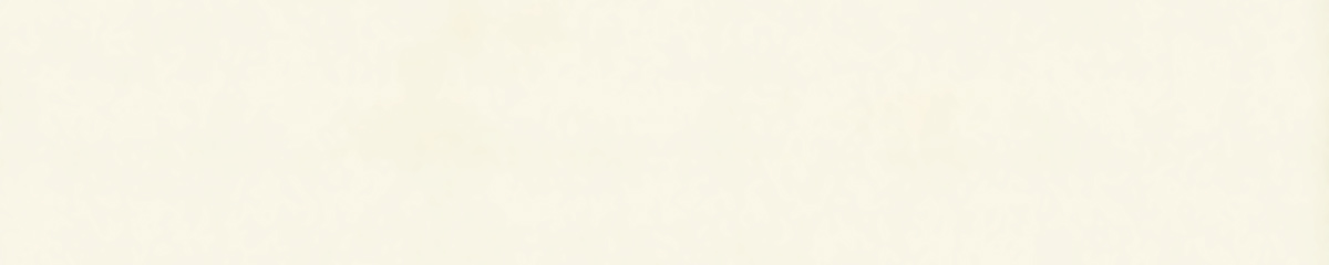 Столешница "БЕЛЫЙ" Матовая (10М) 600-3050-38-2U на  вл/ст дсп