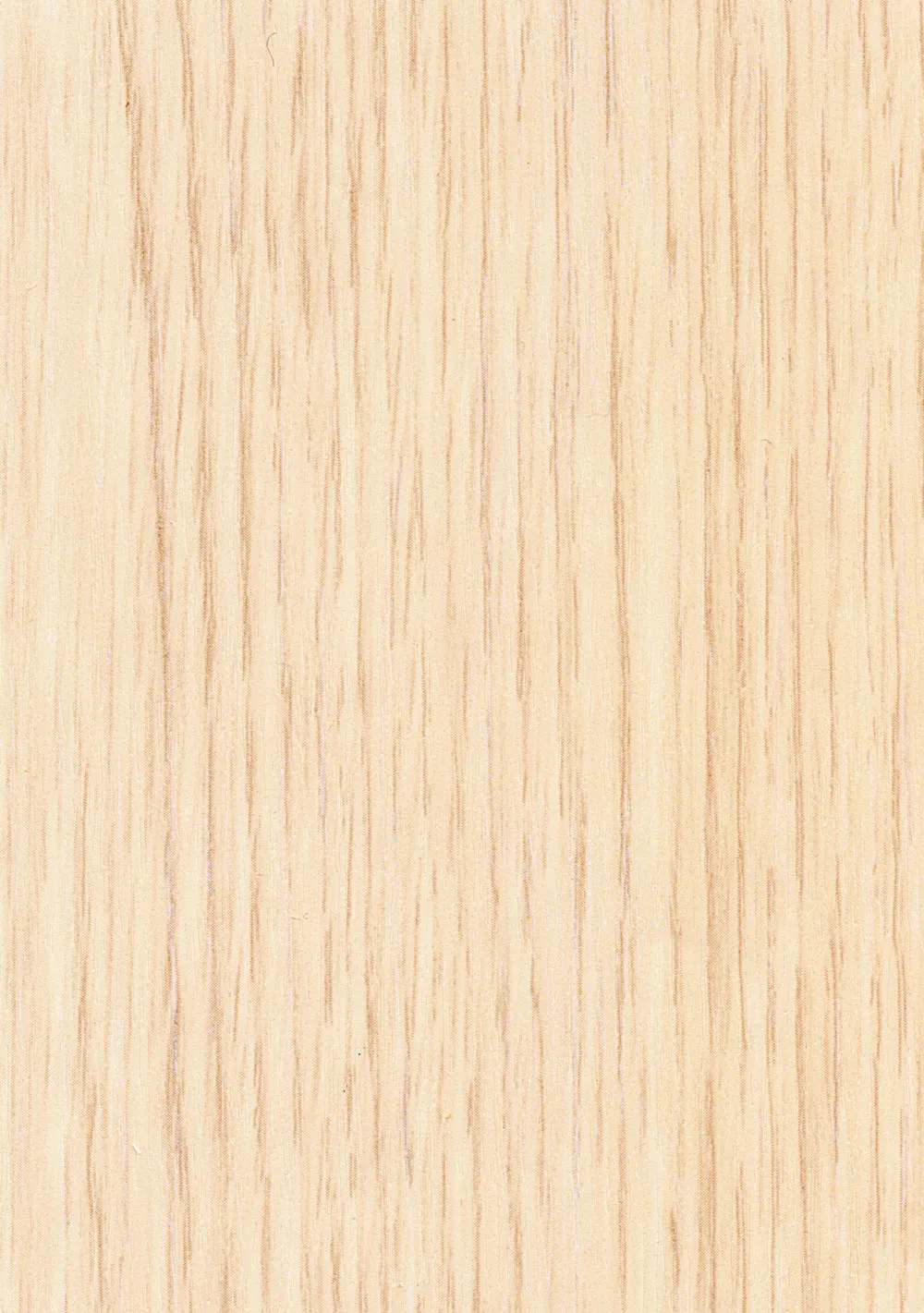 Дуб молочный 2D 066 ПВХ № 38 2,6м