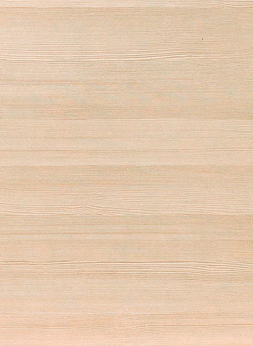 Столешница "ДУГЛАС СВЕТЛЫЙ" Матовая (133М) 600-3050-26-1U