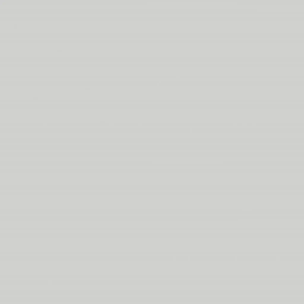 Светло-серый 238 -Super Mat+ СП