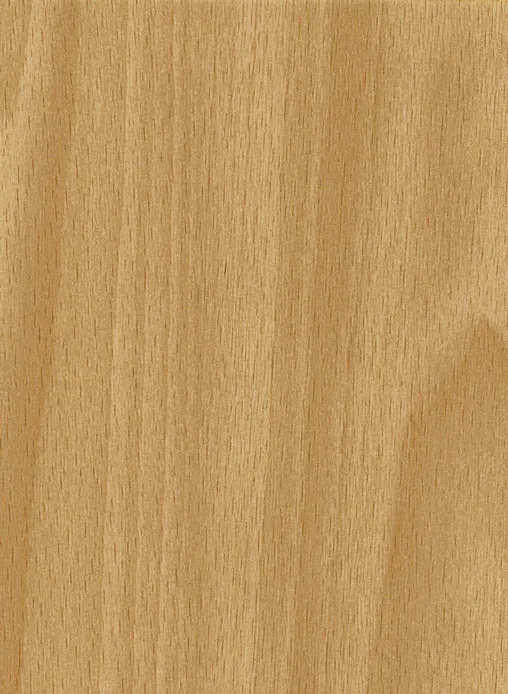 Бук 238 -классик