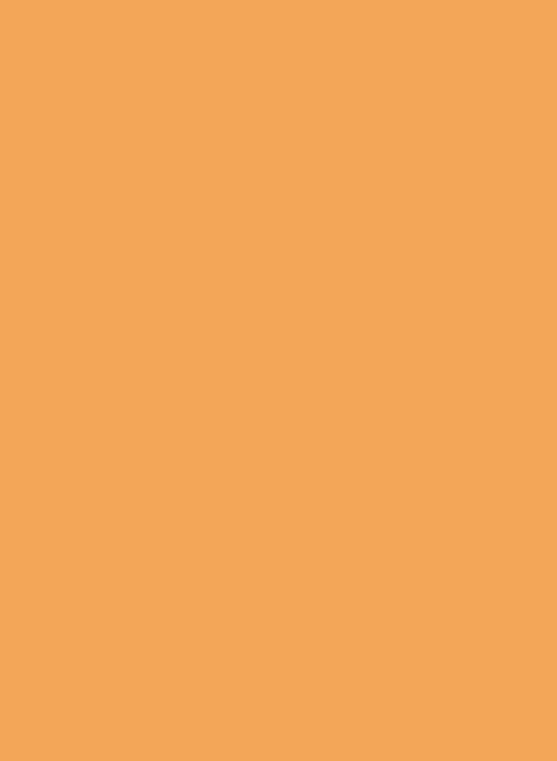 4156 MAT , Caramel 1300*3050*0.7