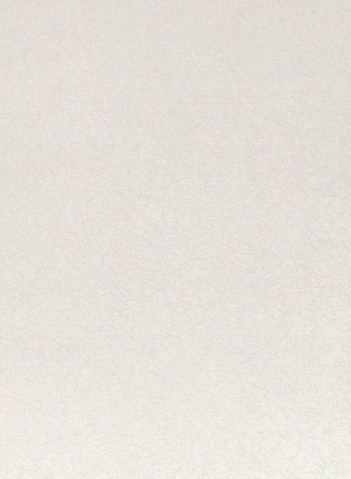 Столешница "ЛАТИНИЦА БЕЛАЯ" Матовая (801М) 600-4200-38-1U на  вл/ст дсп