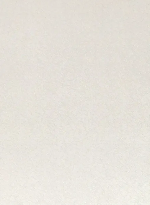 Столешница "ЛАТИНИЦА БЕЛАЯ" Матовая (801М) 600-4200-38-1U на  вл/ст дсп