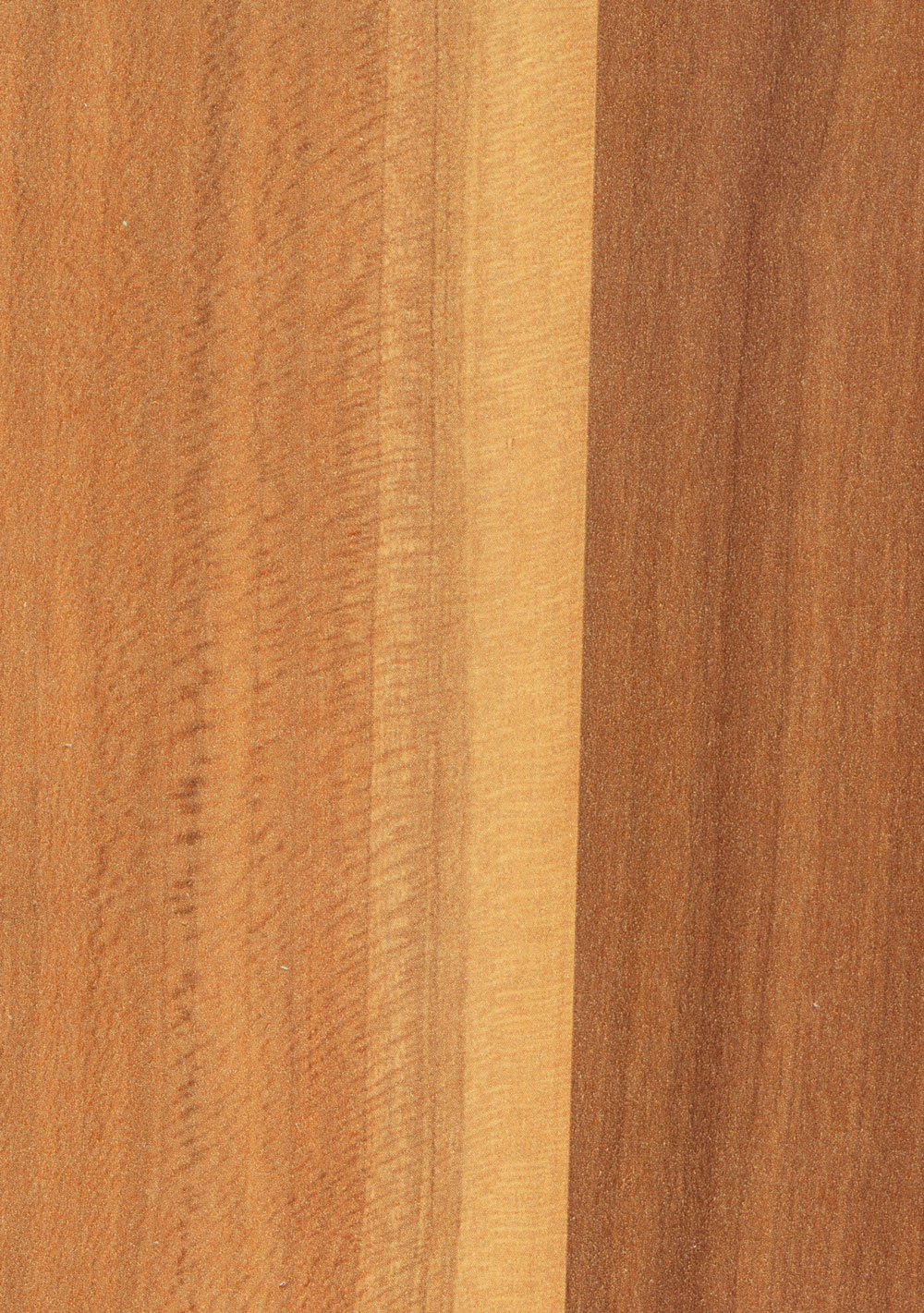 Слива Валлис 1622037003 РУ 85/8 2,76