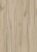 Столешница "ДУБ ЮСТУС" Матовая (0424М) 600-1000-38-1R на  вл/ст дсп