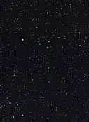 7682 PET, черная платина , 3050*1300*0,6 мм