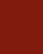 Фасад Бордовый глянец 304-G 716*496