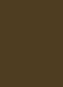 Шоколад глянец Фасадное полотно 146-Г-10М-1200-2800-16